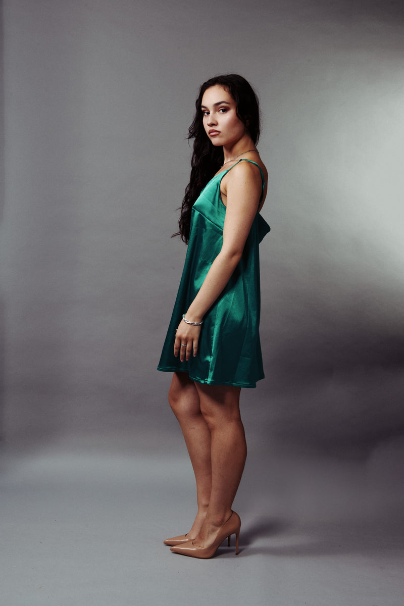 VICTORIA DRESS