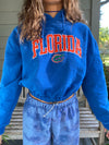 FLORIDA GATORS HOODIE